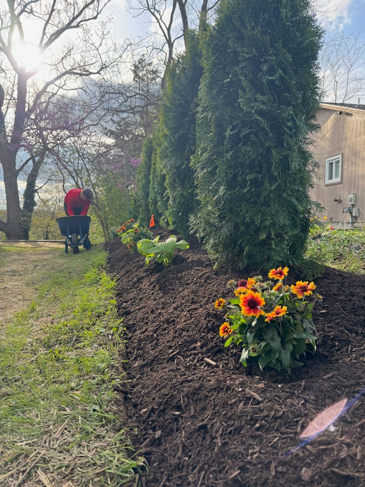 Create Peaceful Sanctuaries with Evergreen Berms
